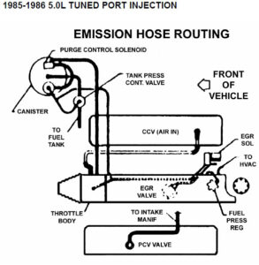 Austin Thirdgen - Thirdgen Vacuum Line Diagrams