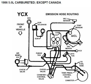 Thirdgen Vacuum Line Diagrams - Austin Thirdgen